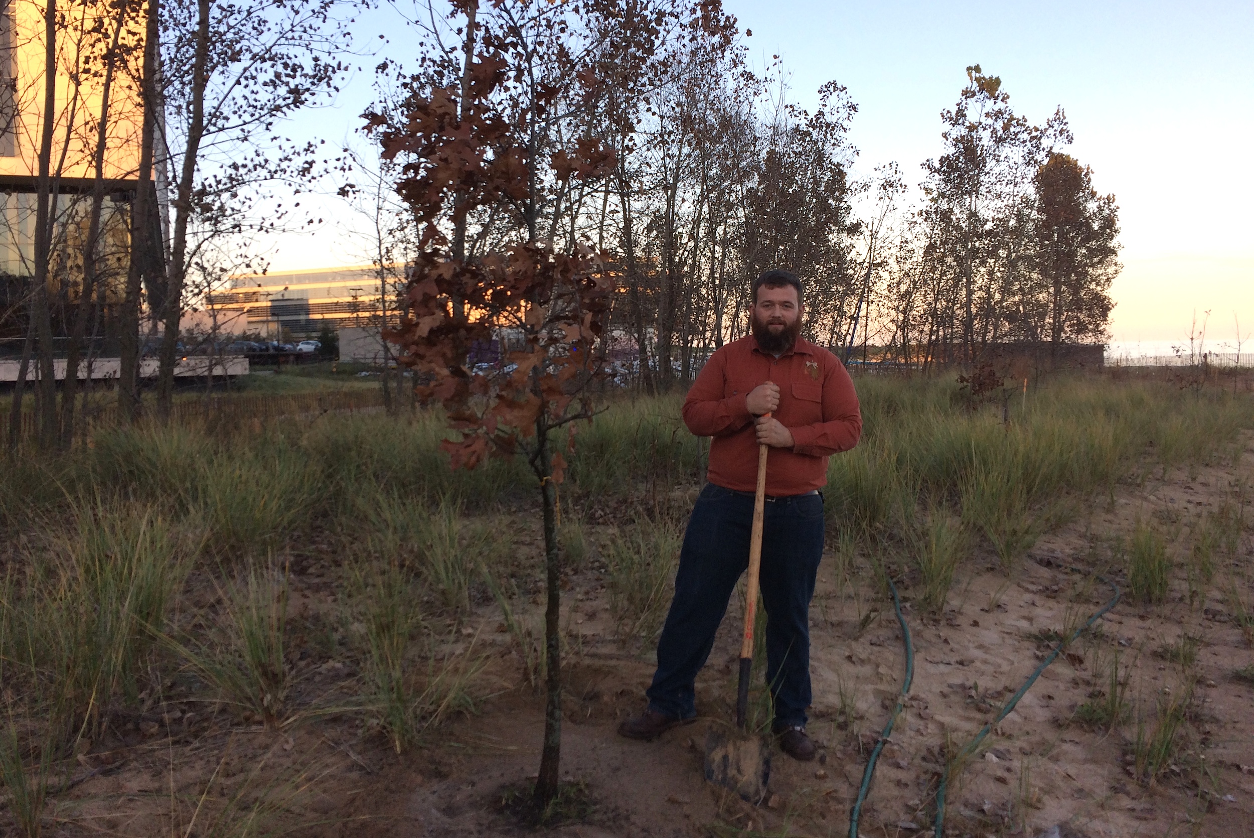 Planting a black oak tree at the Clark Street Beach Bird Sanctuary