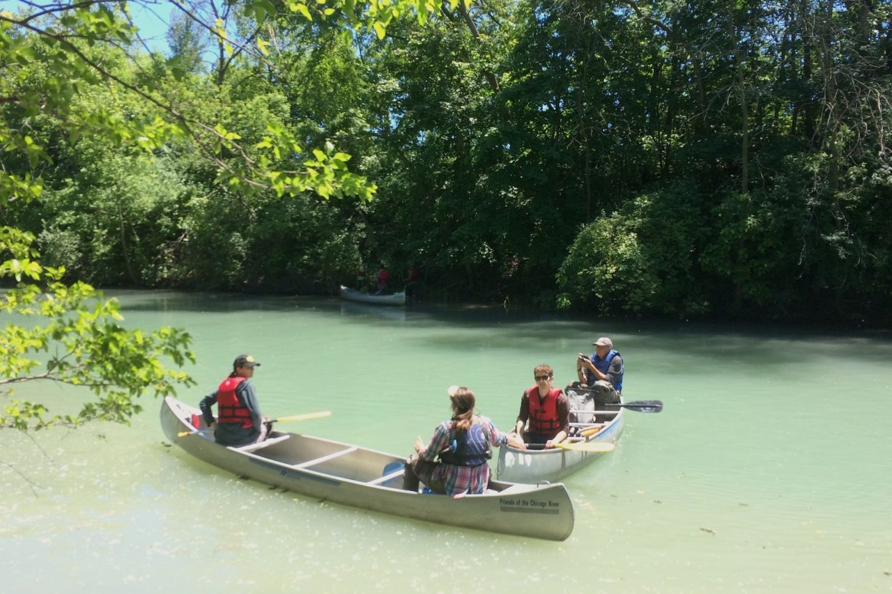 Planting by canoe with Friends of the Chicago River