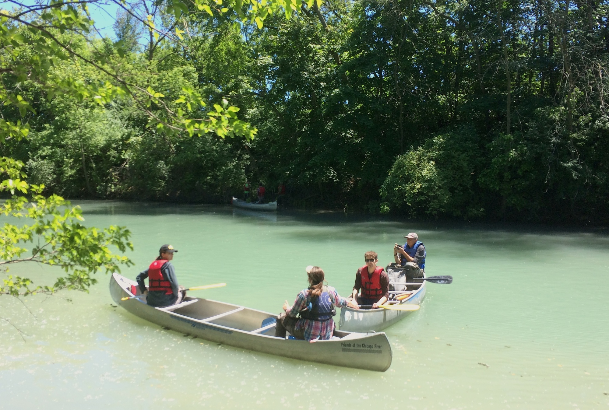 Planting by canoe with Friends of the Chicago River