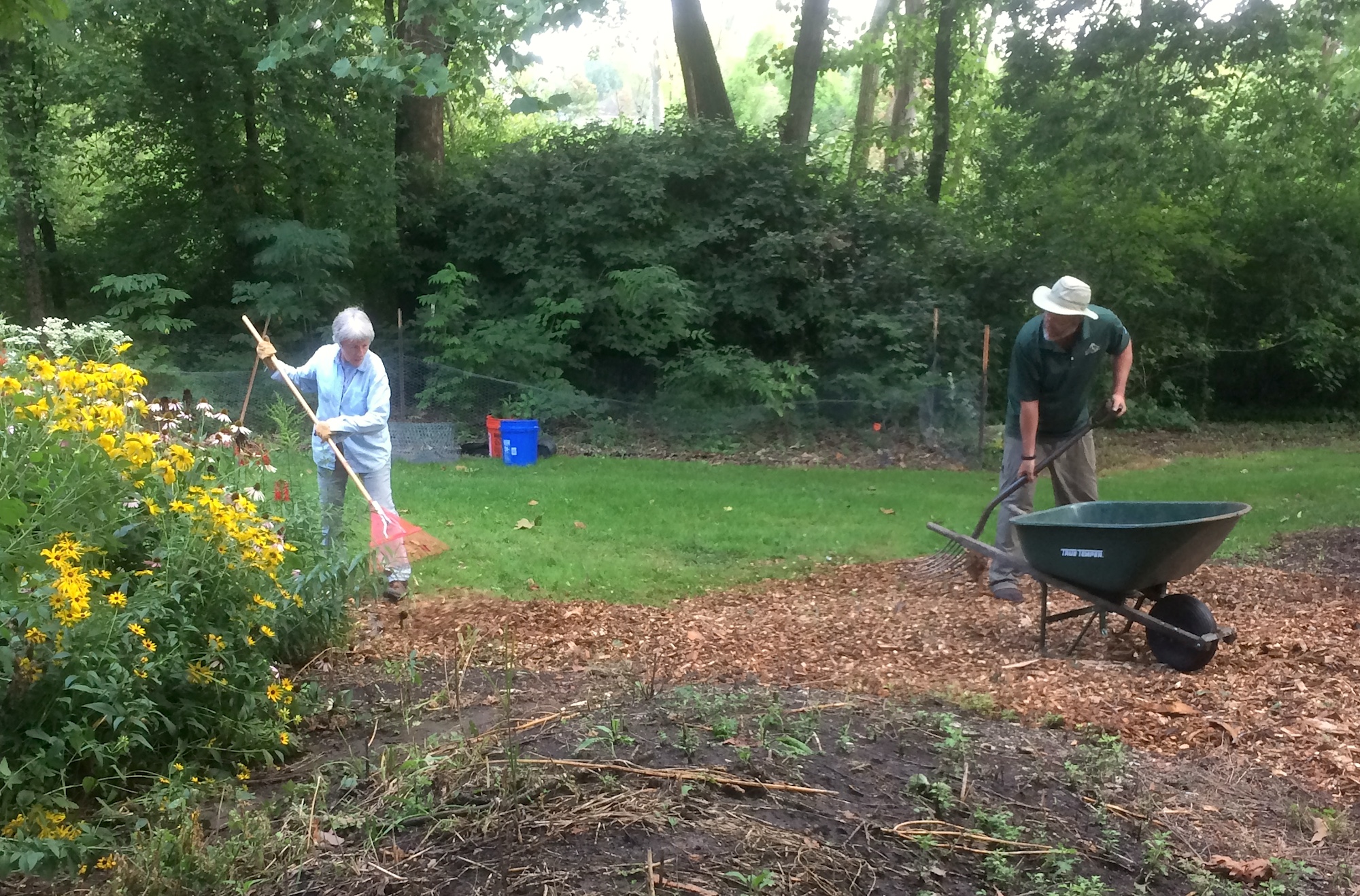 Teamwork - Sheila and Tom raking mulch in the arboretum