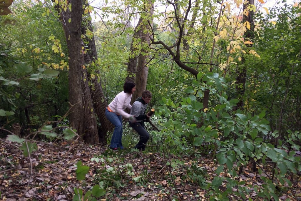 Ellen and Jack Donovan clearing buckthorn in the arboretum