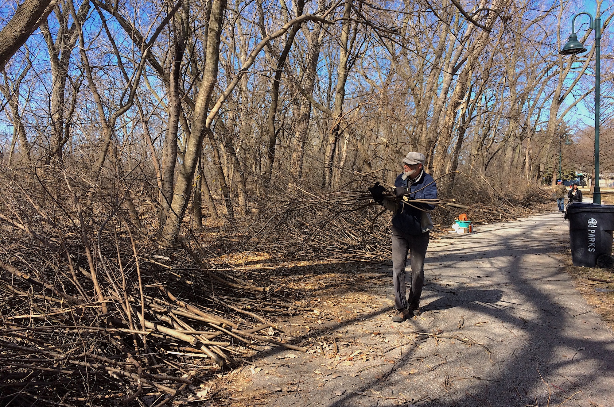 Piling up the buckthorn at another Harbert Park workday