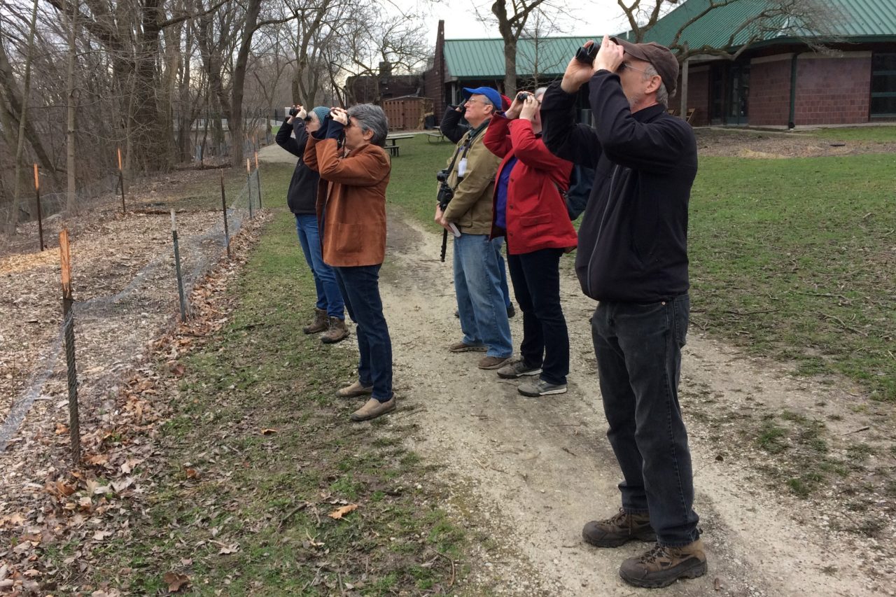 Bird watching along the channel with Judy Pollock